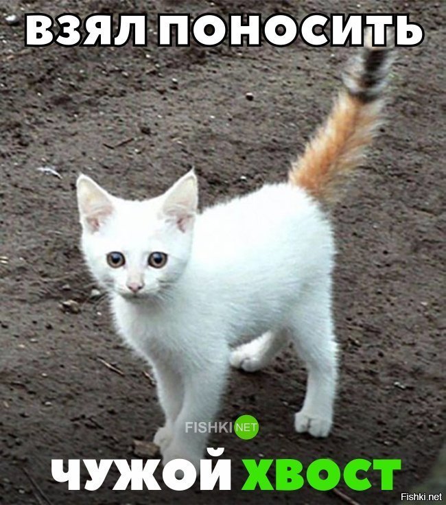 С чужим хвостом