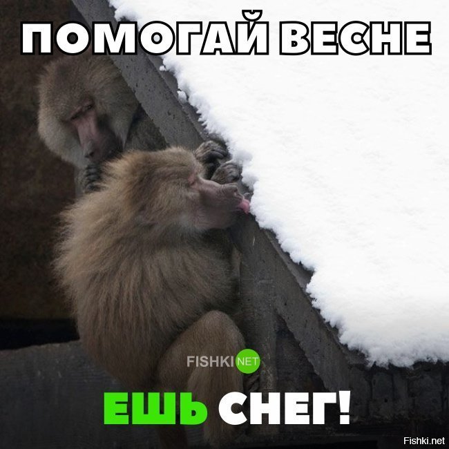 Ешь снег, помоги весне.