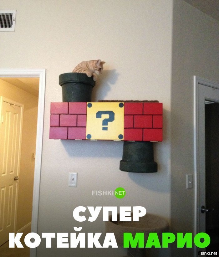 Котейка Марио