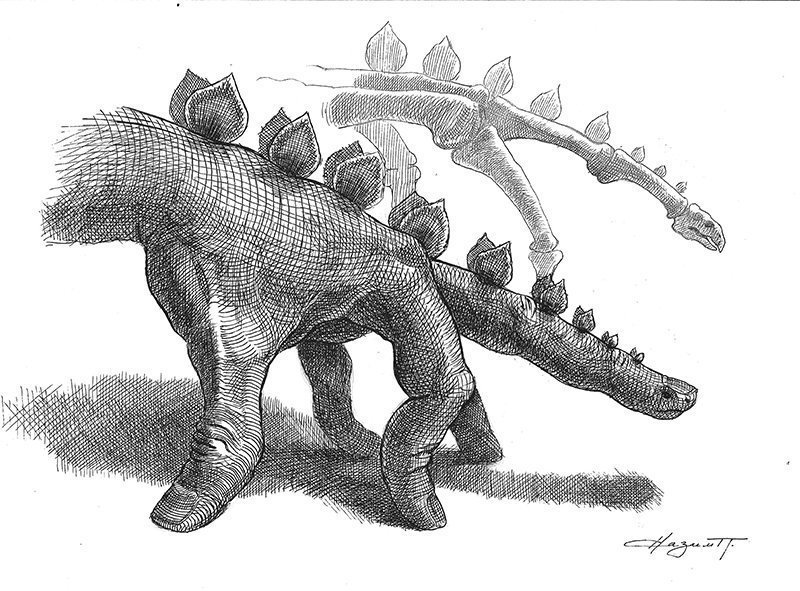 Рукозавр и скелет рукозавра