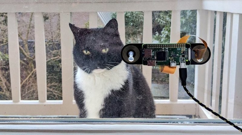 Голландский программист разработал систему распознавания морды кота