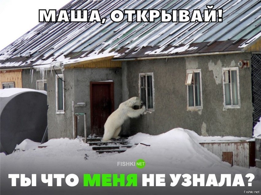 Когда Маша не узнаёт