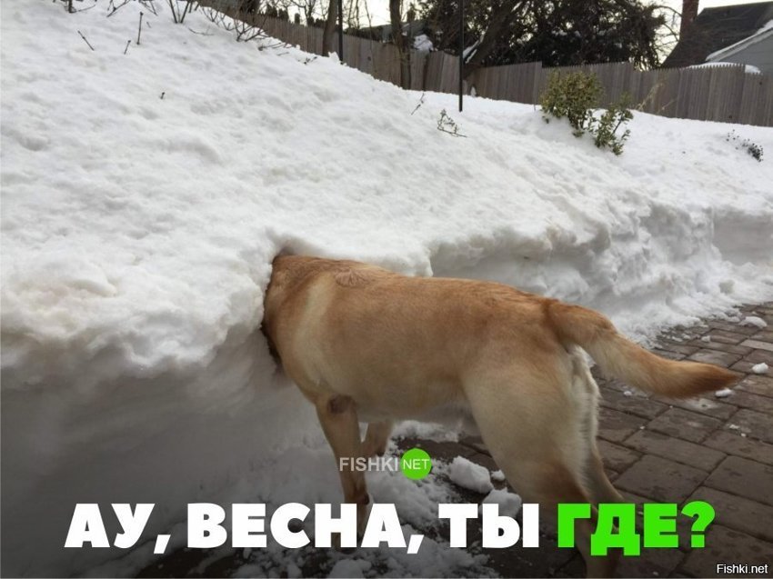 Ау, весна
