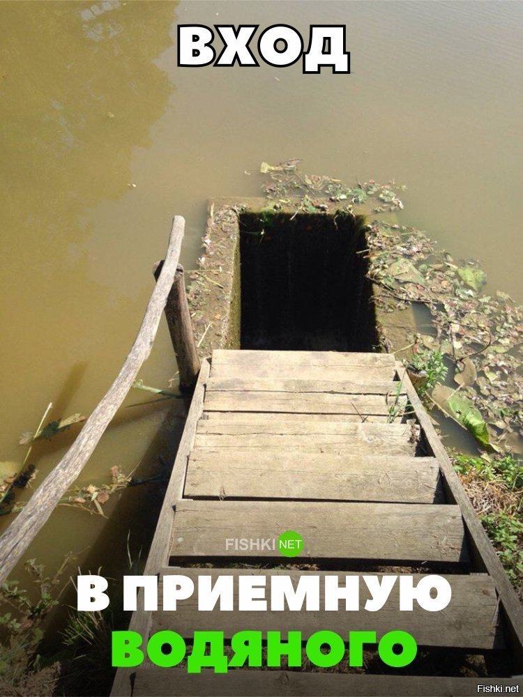 В приёмную к водяному
