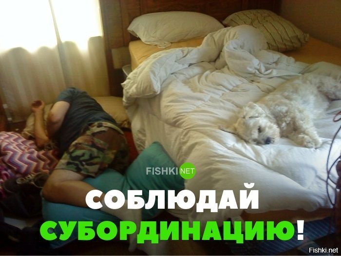 Соблюдай субординацию