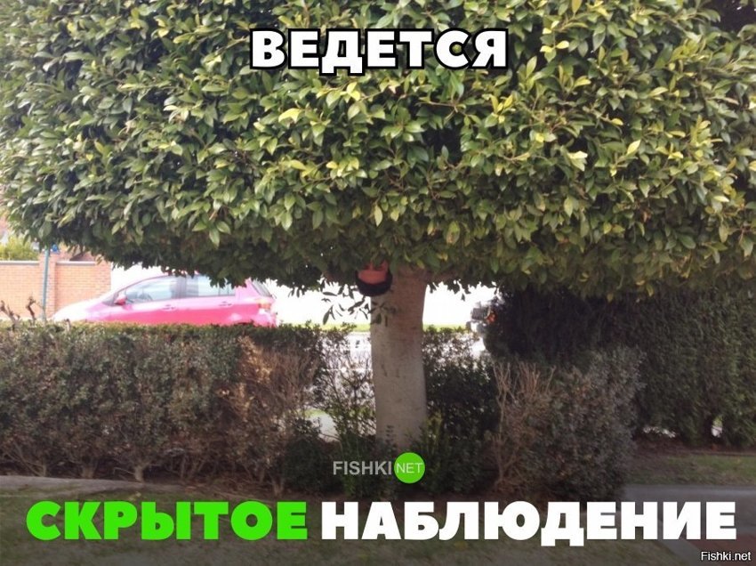 Скрытое наблюдение