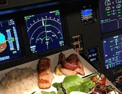 Да, пока мы летим и едим.  Знаете ли вы, что первый и второй пилоты должны есть разную еду?