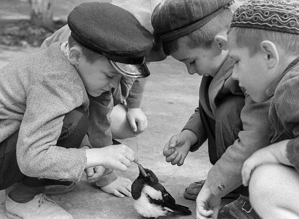Дети играют с сорочонком. CCCР, 1965 год