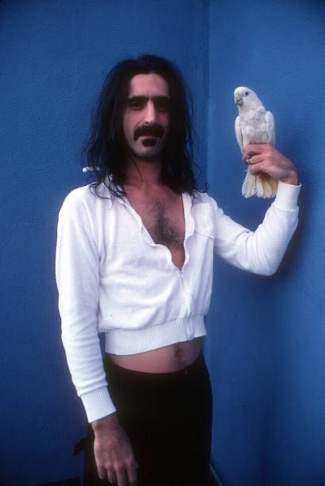 Frank Zappa