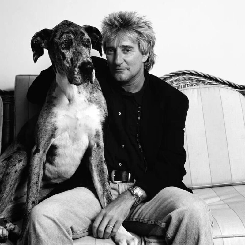 Rod Stewart