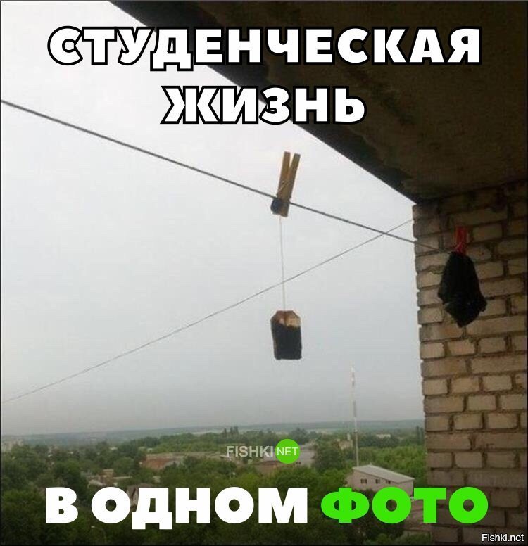 Студенческая жизнь