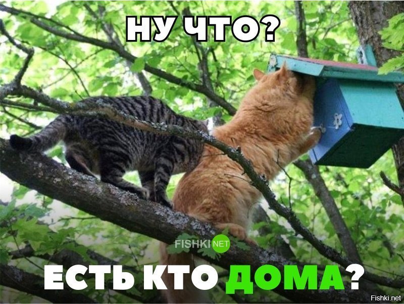 Есть кто дома?