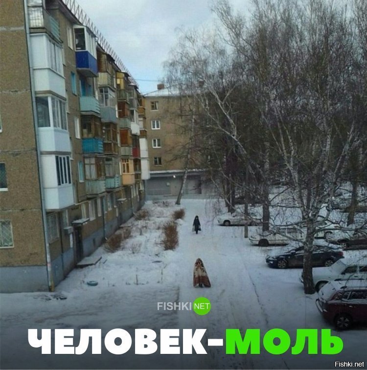 Человек - моль