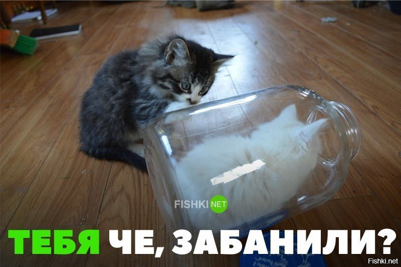 Забанили