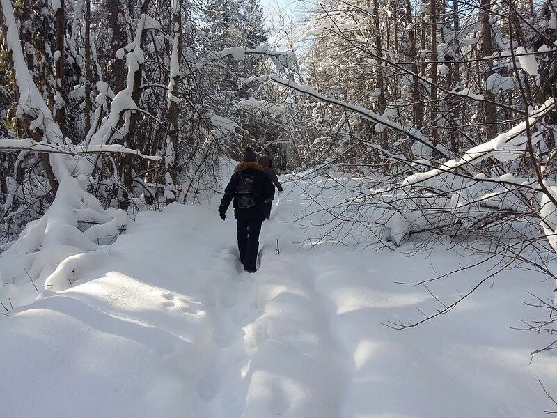 Самая красивая заброшка Новгородской области