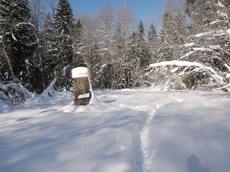 Самая красивая заброшка Новгородской области