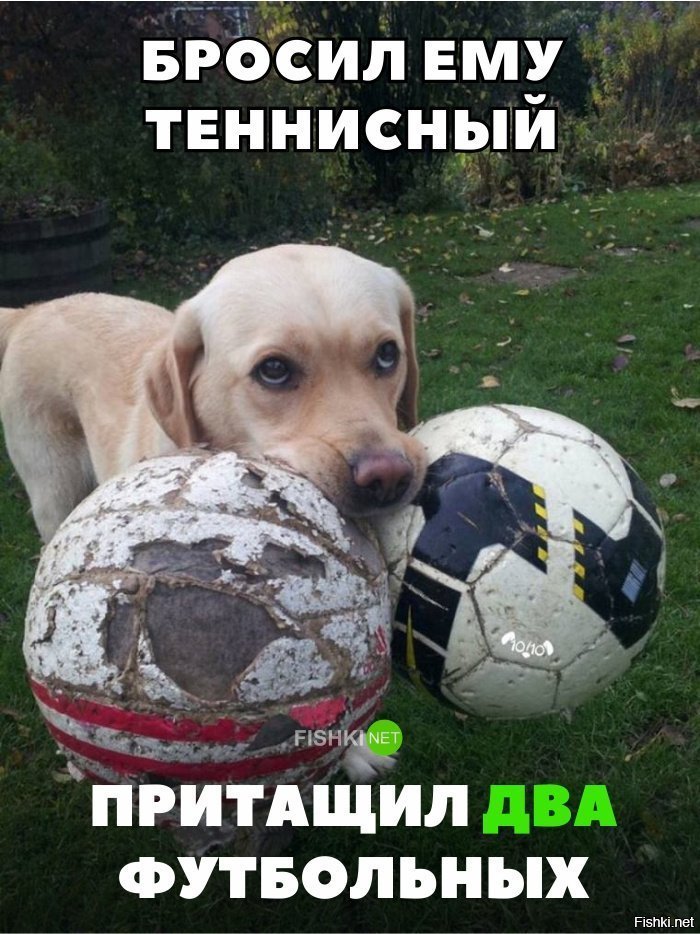 Хороший мальчик