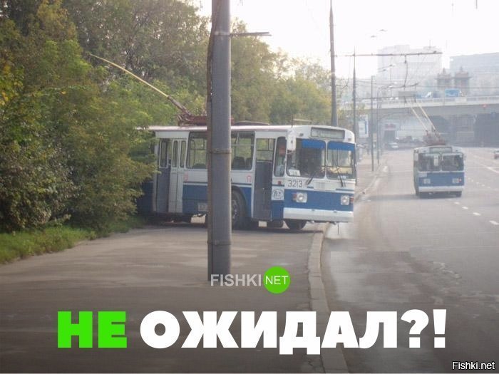 Не ожидал?