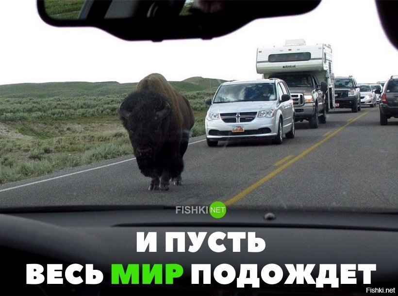 И пусть весь мир подождёт