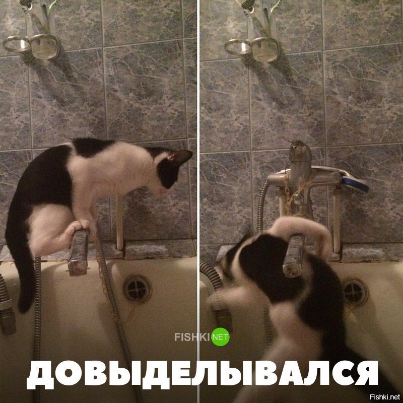 Довыделывался
