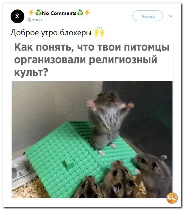 Политические коментарии соцсетей - 417