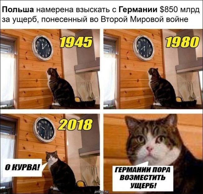 Прикольные картинки