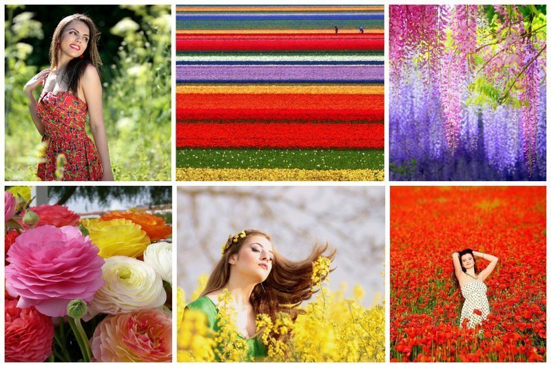Цветочные туры мира - буйство красок и красоты