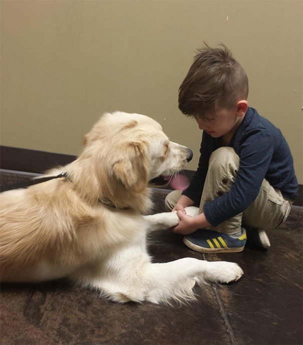 "Сын успокаивает пса пред визитом ветеринара"