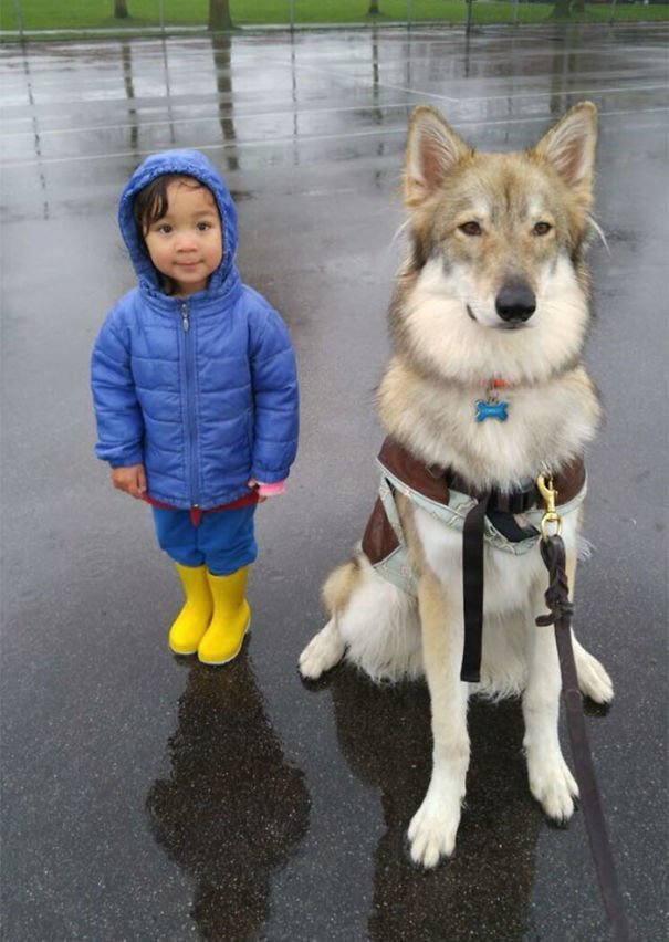 "Когда моя племянница гуляет с собакой, мы знаем, что к нй никто не подойдет"