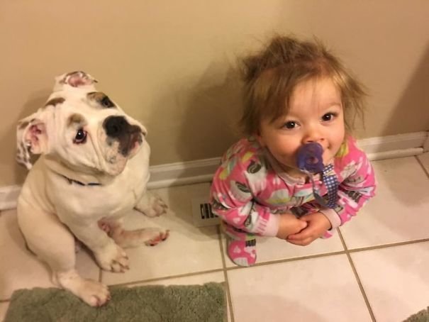 "Дочка и пес вечно спорят о том, кто сегодня будет сидеть на теплом вентиляторе. Сегодня дочка опять выиграла"