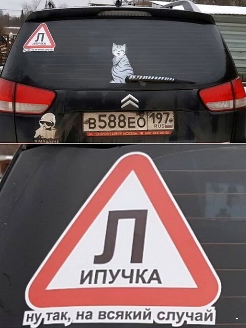 Автовсячина