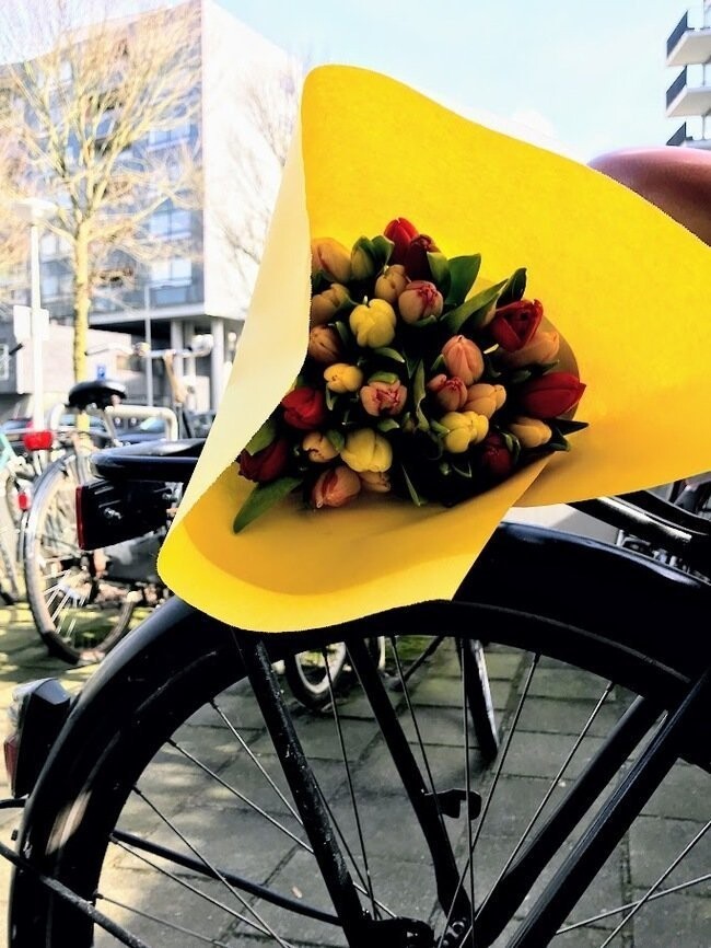 Сколько стоят цветы в Амстердаме?