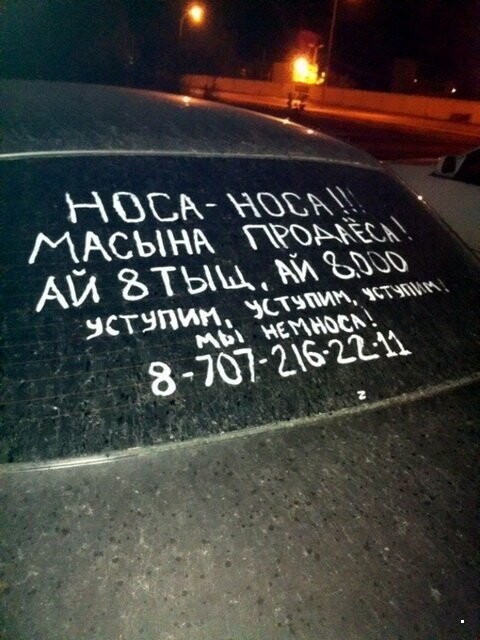 Автовсячина