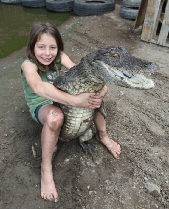 Крокодил в качестве питомца