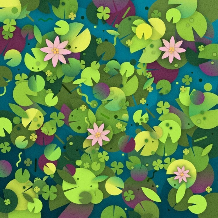 9. Найдёте черепаху среди листьев водяных лилий?