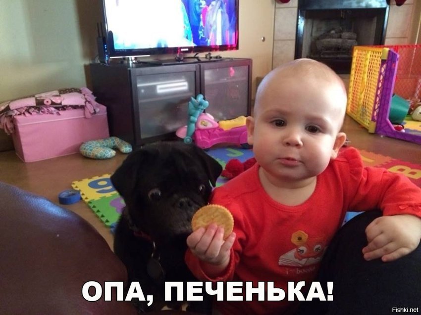 Опа, печенька