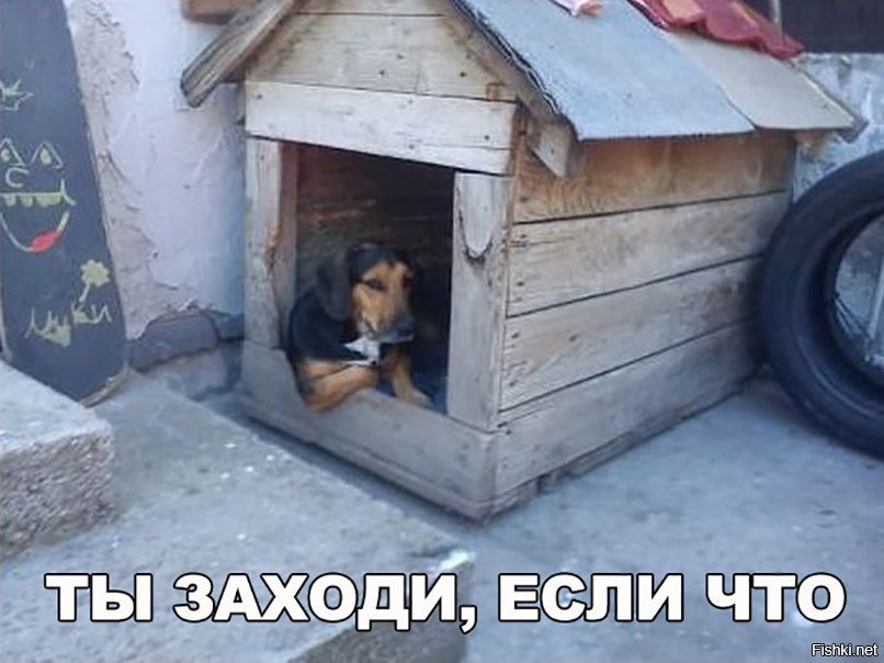 Ты заходи, если что