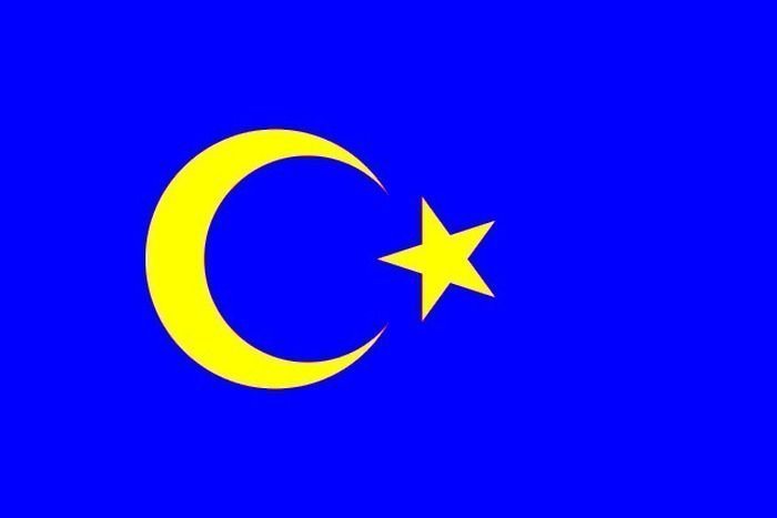 В Швеции предложили новый проект государственного флага с полумесяцем и звездой