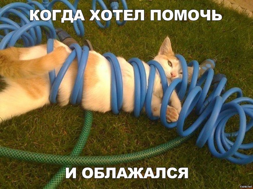 Хотел помочь и облажался