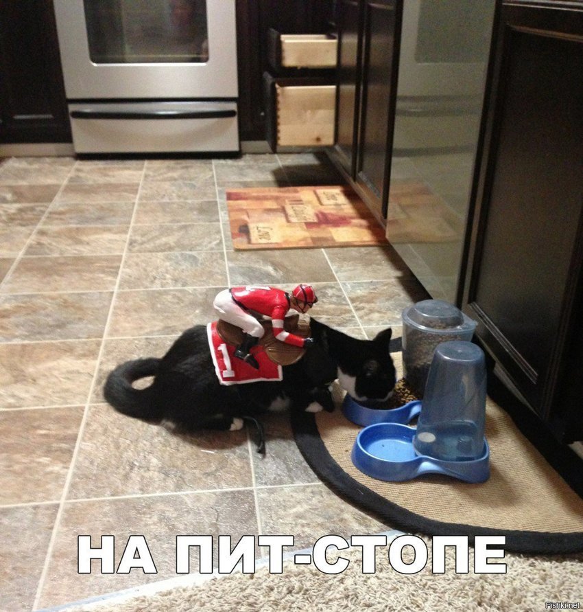 На пит-стопе
