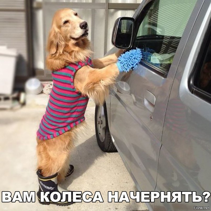 Салон пропылесосить?