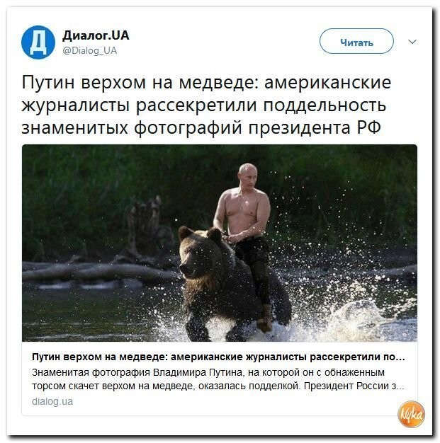 Фото путин на медведе верхом