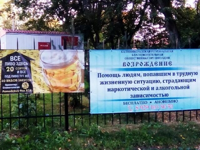 Прикольные картинки