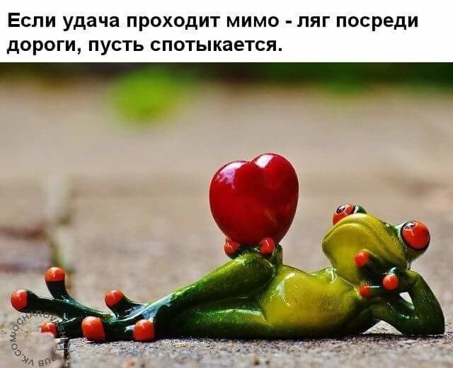 Юмор из интернета