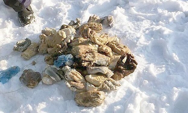 В Хабаровске найдено 54 отрубленных руки