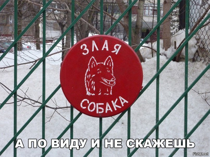 По виду и не скажешь
