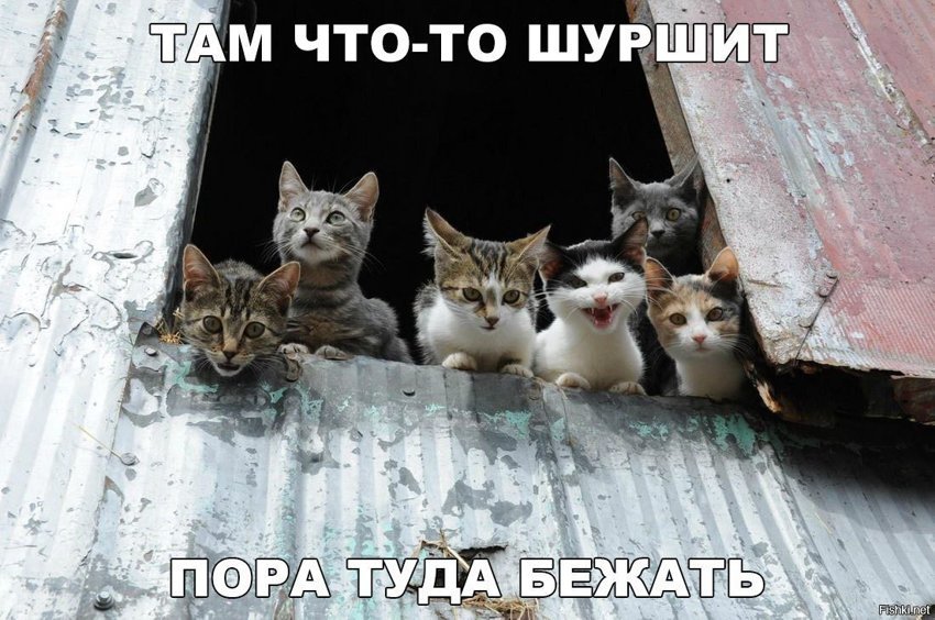 Пора туда бежать