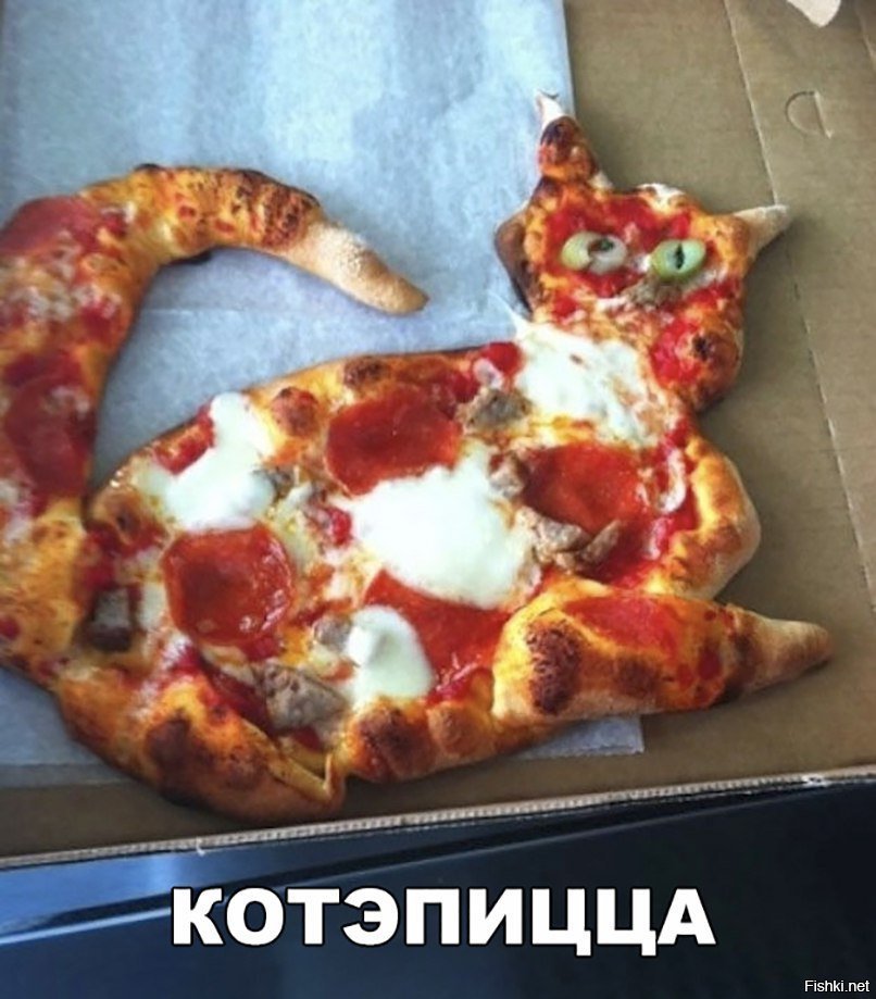 котэпицца