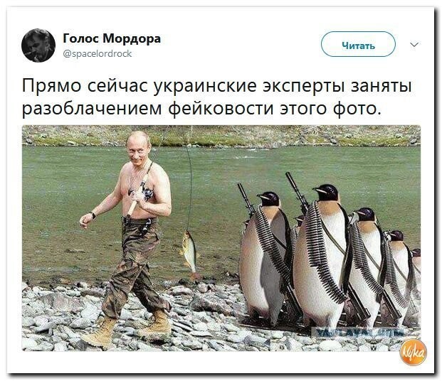 Политические коментарии соцсетей - 421