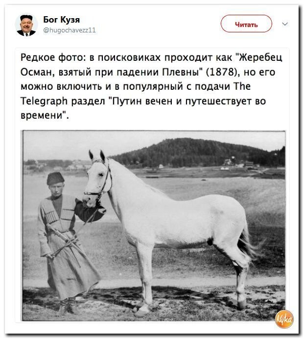 Политические коментарии соцсетей - 421